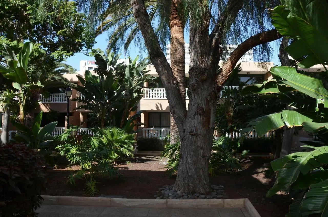 Parque De Las Americas Apartment Costa Adeje  Spain